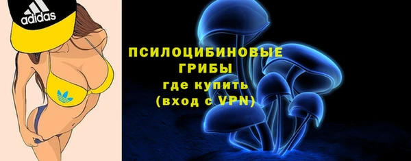 трава Аркадак