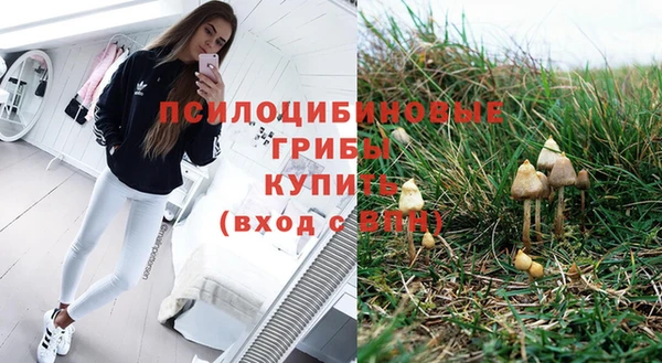 прущие грибы Алексин